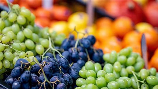 Laut einem Statistik-Handbuch zur Fruit Logistica wurden im vergangenen Jahr in Deutschland 5,2 Millionen Tonnen Obst und Gemüse geerntet.