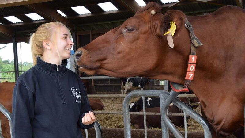 Lea Hauschild mit Kuh Talia (Angler Rotvieh). Der Landhof, für den sie im Familienbetrieb verantwortlich ist, produziert Milch und Fleisch für das Restaurant Zum Dorfkrug.