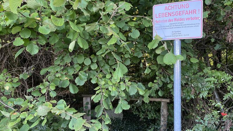 Lebensgefahr: Warnschilder und Absperrungen stehen rings um den Buchenwald.