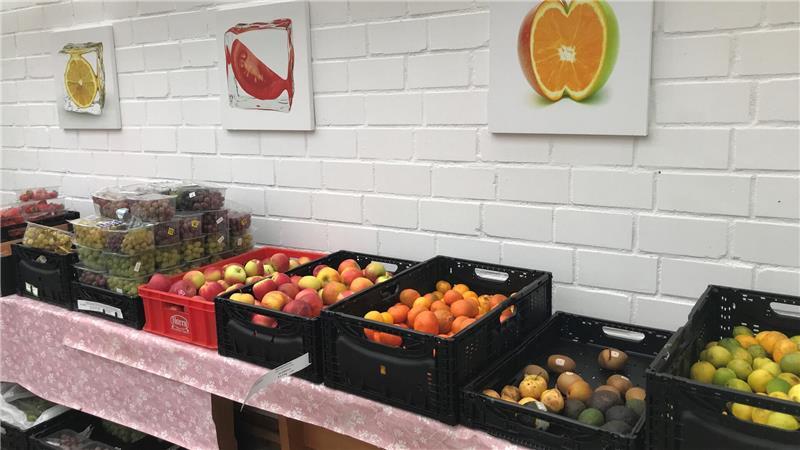 Essen für alle: Nordkehdinger retten Lebensmittel vor der Tonne Leckeres Obst.
