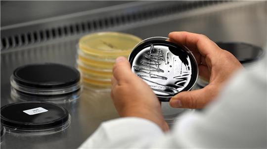 Legionellen kann man mit bloßem Auge nicht sehen und auch nicht riechen.