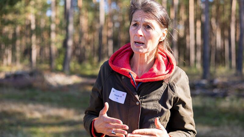 Niedersachsen rüstet sich gegen Afrikanische Schweinepest „Leider gibt es keinen hundertprozentigen Schutz“, so Landwirtschaftsministerin Miriam Staudte (Grüne) bei der Übung zur Eindämmung der Afrikanischen Schweinepest:. „Daher müssen wir gut vorbereitet sein.“