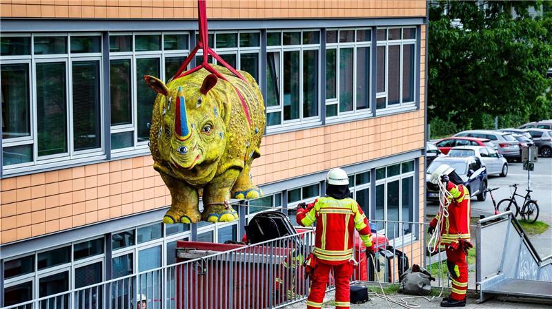 Nashornskulptur kehrt auf das Flensburger Rathaus zurück Leiß freut sich, dass das Nashorn bei vielen Flensburgern so gut ankommt.
