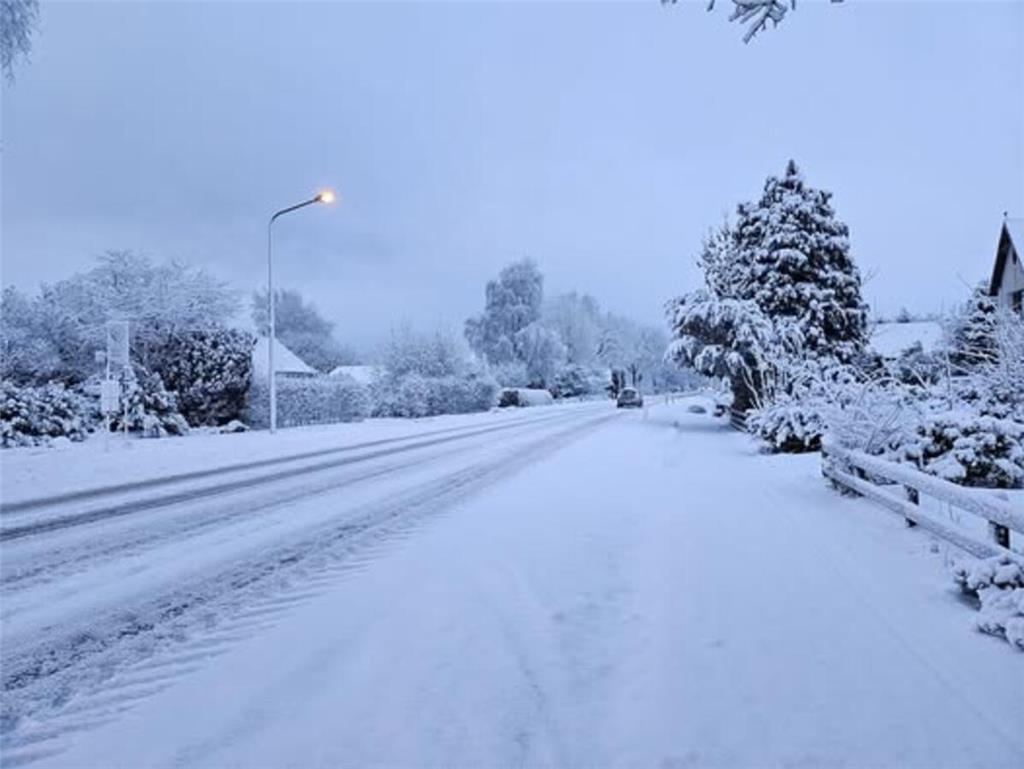 Liane Scharping zeigt uns das weiß verzauberte Dornbusch.