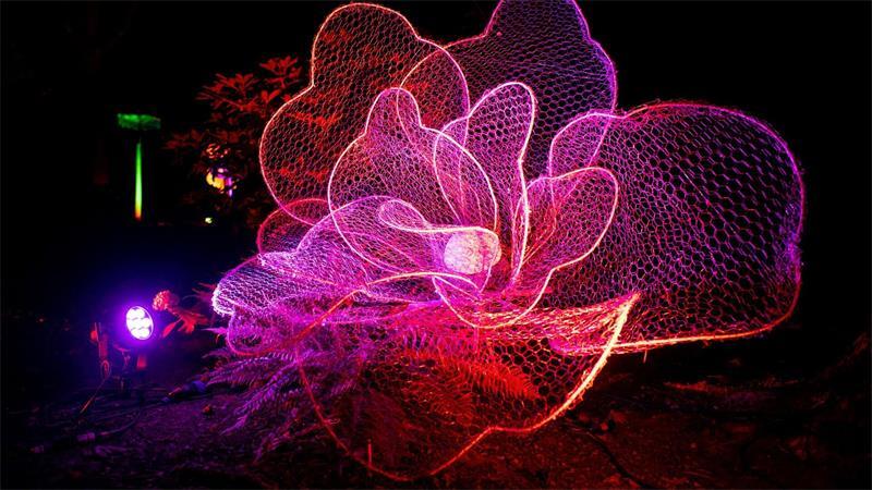 Licht, Kunst und Natur werden bei der Illumination miteinander verbunden. 