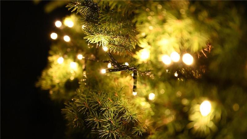Lichterketten: Weihnachtlich, schön - und Anstoß für einen Gerichtsprozess.