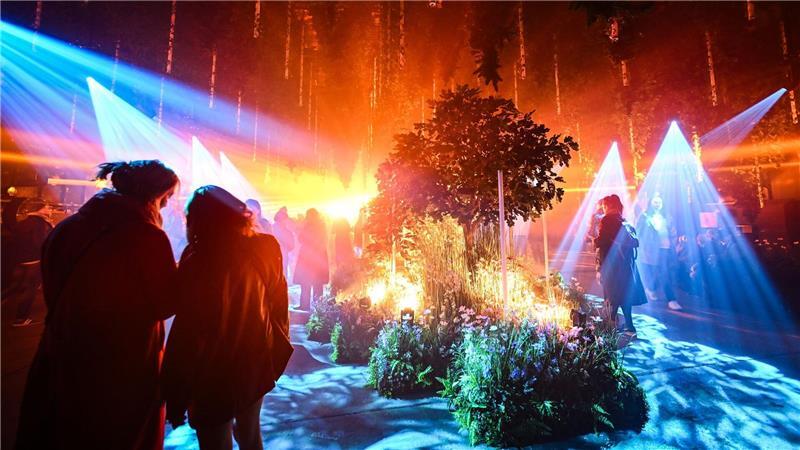 Lichtinstallation „Forest Seasons“