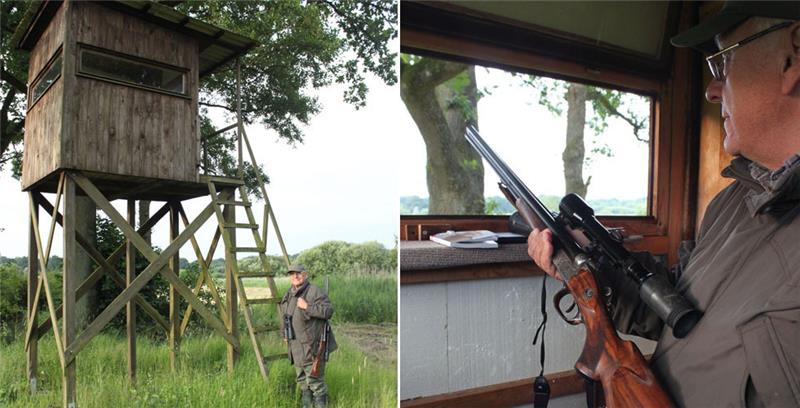 Links: Jäger Joachim Gwosdz vor einem seiner Lieblingshochsitze von insgesamt 15 im Revier des Guts Daudieck. Rechts: „Die schießt noch wie Gift“ - Gwosdz mit seiner 1954 gebauten Merkel Drilling – für zwei Schrot- patronen und eine normale Patrone. Fotos: Bröhan