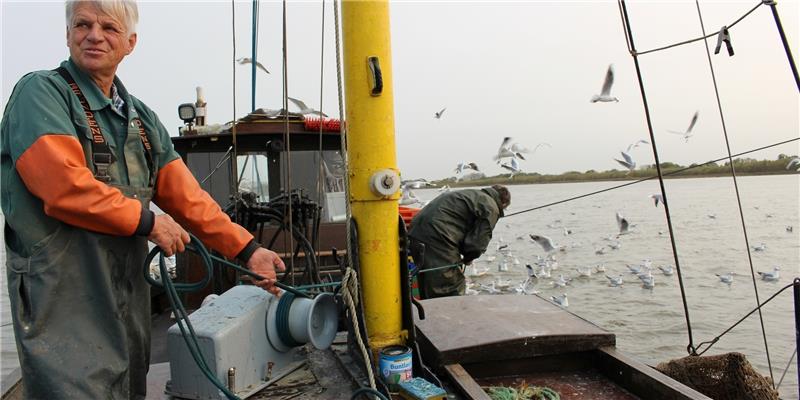 Lothar Buckow bei der Arbeit auf seinem Kutter Elise, mit den er auf der Unterelbe die umweltschonende Hamenfischerei betreibt. Er sieht seine Existenz durch eine erneute Elbvertiefung bedroht. Fpto Richter