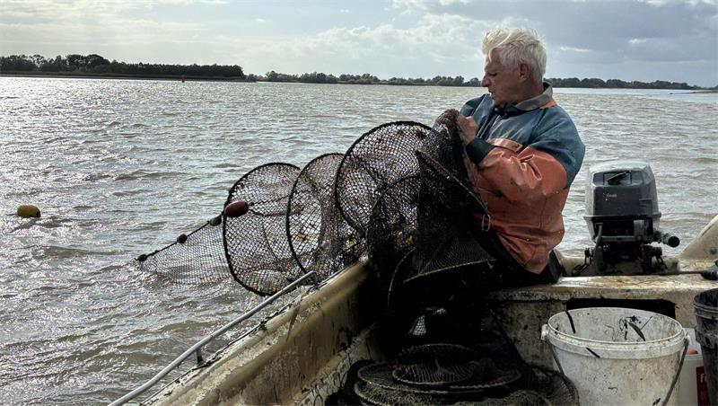 Altes Land: Elbfischer Lothar Buckow setzt auf Aalsuppe Lothar Buckow hievt die Reusen an Bord.