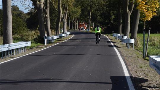 Lückenhaft und teilweise vor einzelnen Bäumen: Die Anordnung der Leitplanken an der modernisierten Rübker Straße (K40) hat TAGEBLATT-Leser verblüfft.