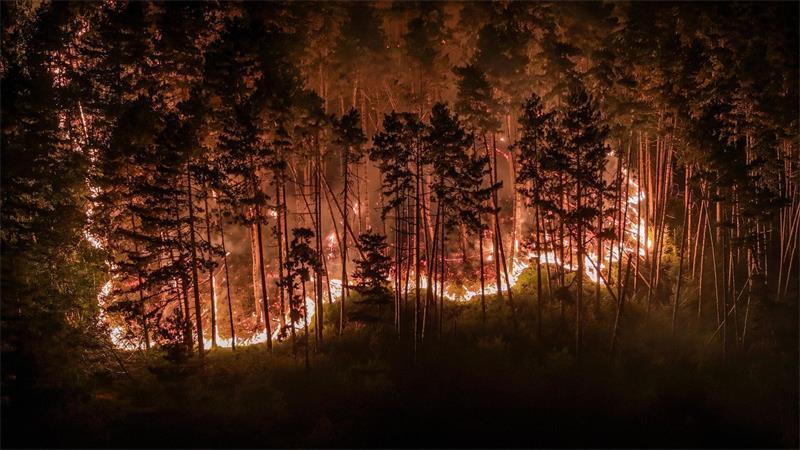 Luftaufnahmen zeigen einen Waldbrand am Gardasee.