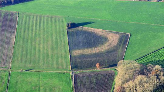 Luftbildarchäologie: Aus dem Flugzeug ist die Struktur der Ringwall-Anlage bei Oersdorf gut zu erkennen.