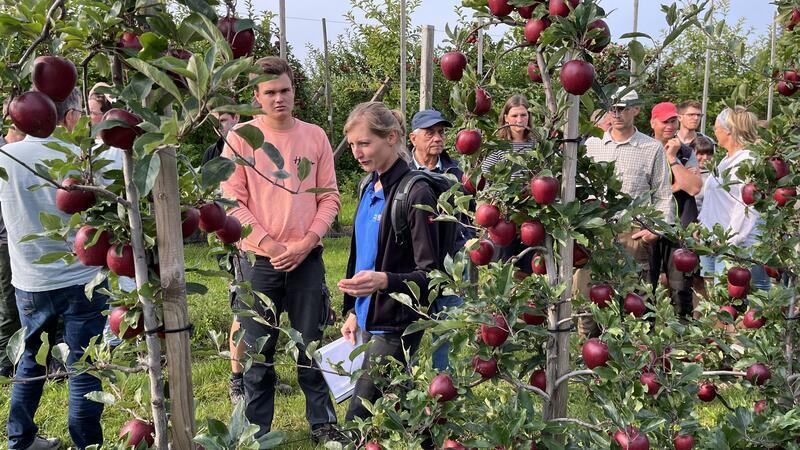Altländer wollen deutschen Birnen-Markt erobern – dank Technik Madeleine Paap informiert die Obstbauern über die Viefalt der Gala-Sorten.