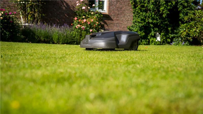 Mähroboter können für kleine Tiere gefährlich sein – daher nur mit Vorsicht und unter Aufsicht einsetzen.