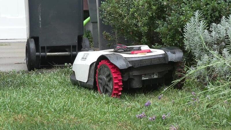 Mähroboter sind eine Gefahr für Igel und andere Tiere. Immer mehr Städte verhängen jetzt ein Nachtfahrverbot für die Geräte. (Symbolbild)