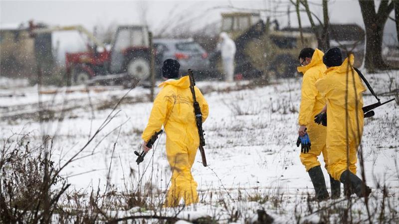 Männer in Schutzkleidung und mit Gewehren gehen zu einem Stall. Die Maul- und Klauenseuche ist in Brandenburg, ganz in der Nähe von Berlin ausgebrochen.