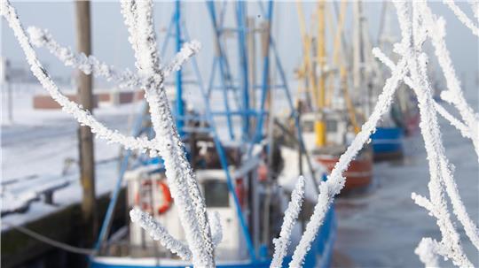 Magisch: Die Kutterhäfen an der Wurster Küste – hier in Dorum-Neufeld – sind nicht nur Wirtschaftsstandorte, sondern auch unter touristischen Aspekten wichtige Faktoren.