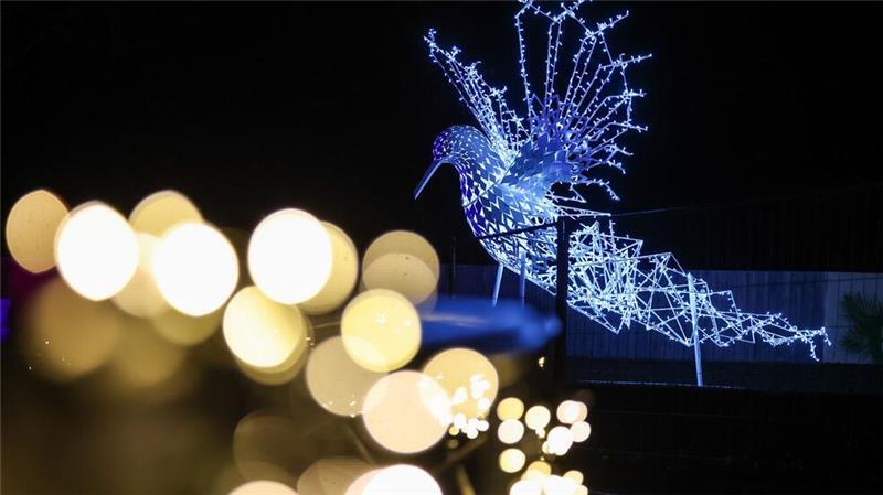 Magisches Tropenleuchten im Zoo Leipzig