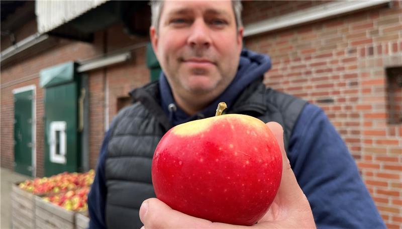 Maik Stölken von der Züchtungsinitiative Niederelbe hält auf seinem Obsthof den ersten allergiefreundlichen Pompur-Apfel in der Hand.