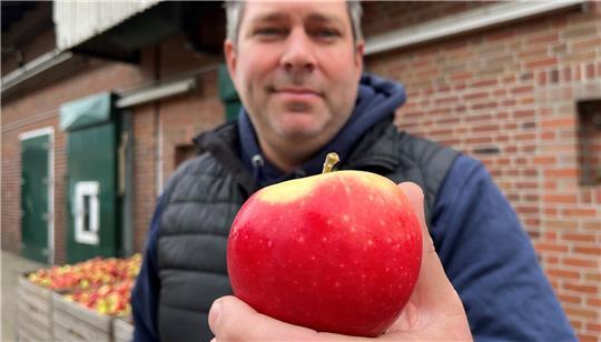 Maik Stölken von der Züchtungsinitiative Niederelbe hält auf seinem Obsthof den ersten allergiefreundlichen Pompur-Apfel in der Hand.