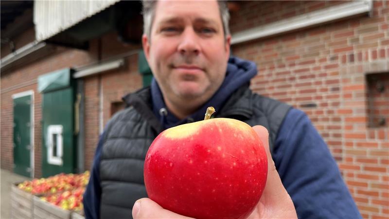Maik Stölken von der Züchtungsinitiative Niederelbe hält auf seinem Obsthof den ersten allergiefreundlichen Pompur-Apfel in der Hand.