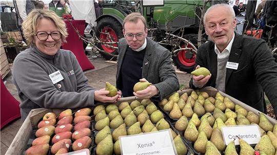 Maike Steffens und Dr. Matthias Görgens (Mitte) vom Obstbauzentrum Esteburg werben mit Fruchthändler Jürgen Faby für eine Ausweitung des Birnen-Anbaus an der Niederelbe.
