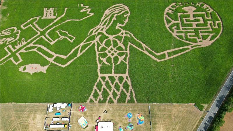 Maislabyrinth - per GPS gesätes Kunstwerk