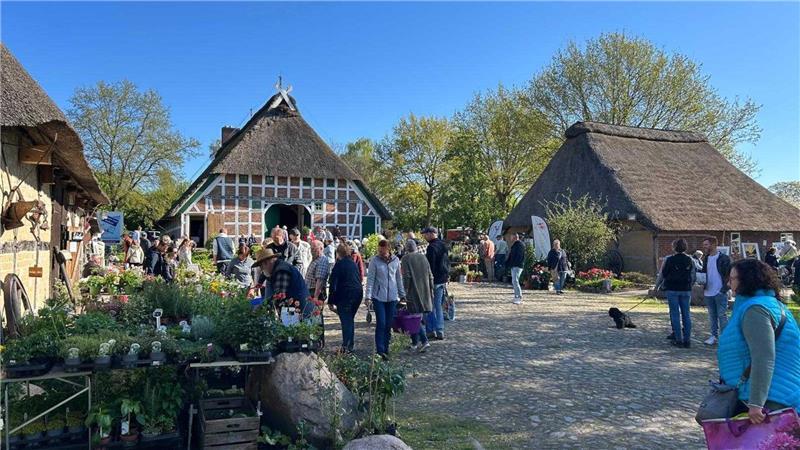 Malerische Kulisse zwischen Reetdachhäusern auf dem Beekhoff.