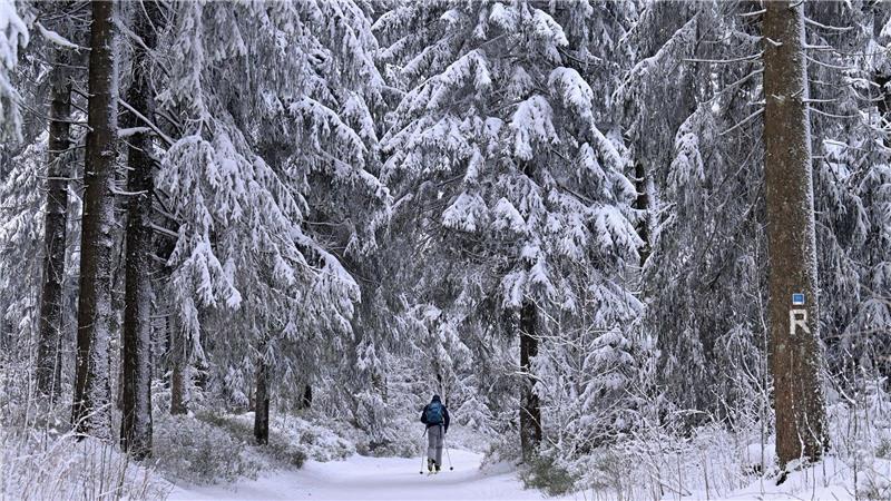Manche genießen den Winterspaziergang, doch für andere ist die anhaltende Kälte eine enorme Belastung.