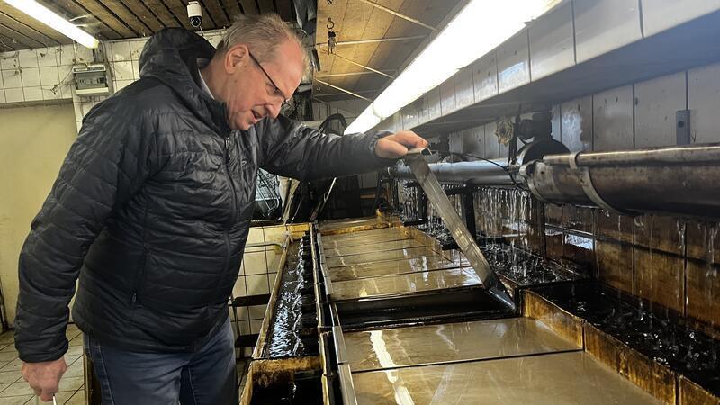 Manfred Krauß begutachtet Meerforelleneier im Bruthaus.