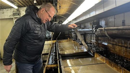 Manfred Krauß begutachtet Meerforelleneier im Bruthaus.