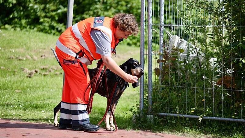 Die Mantrailer-Trainerin der Rettungshundestaffel in Stade Mantrailer-Trainerin Birgit zum Felde mit Rettungshündin Käthe.