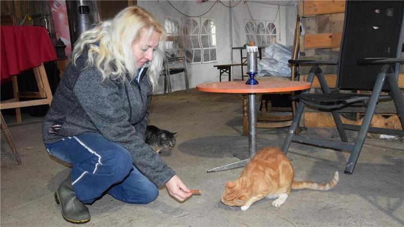 Mähroboter-Unfall: Kater Lenny kämpft sich auf drei Beinen zurück ins Leben Manuela Seebach hat den neunjährigen Lenny auf ihrer Ranch aufgenommen. Sie päppelte ihn nach seinem schrecklichen Unfall wieder auf.