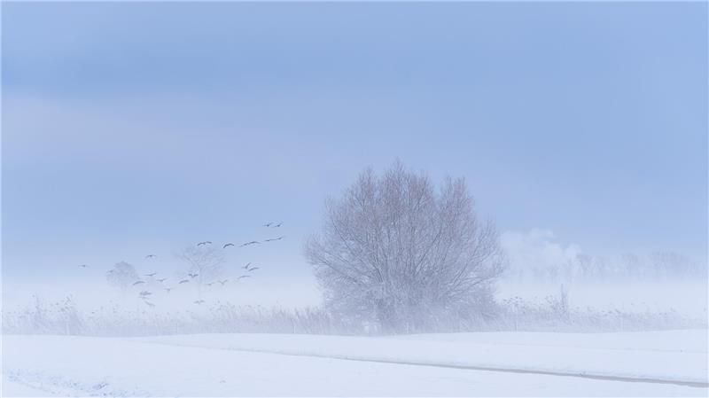 Manuela Zank nimmt uns mit in die wunderschön verschneite Landschaft zwischen Drochtersen und Krautsand.