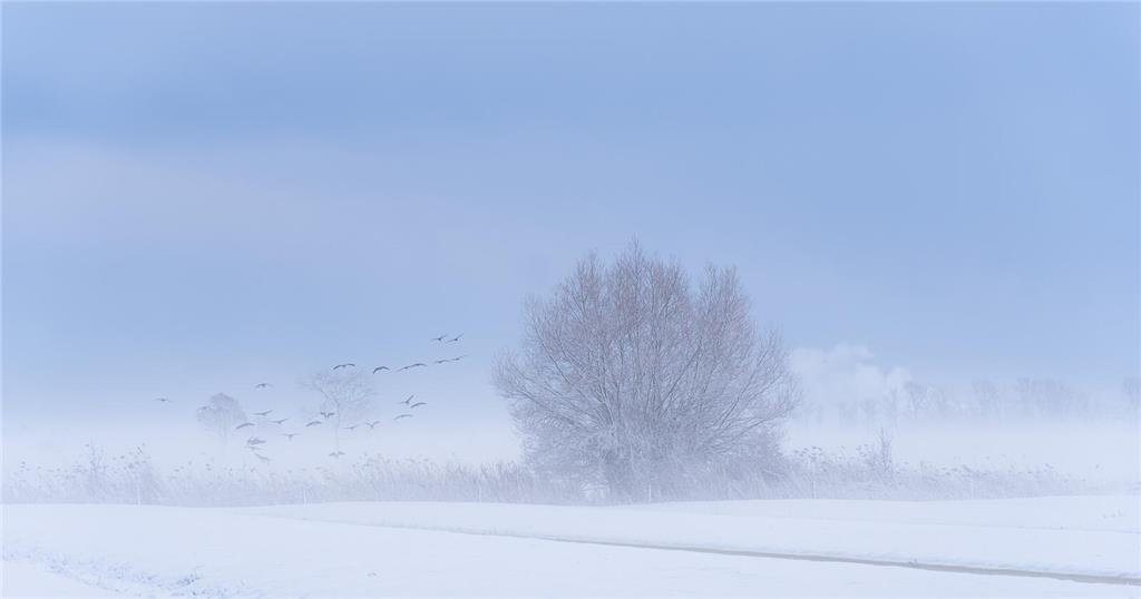 Manuela Zank nimmt uns mit in die wunderschön verschneite Landschaft zwischen Dr...