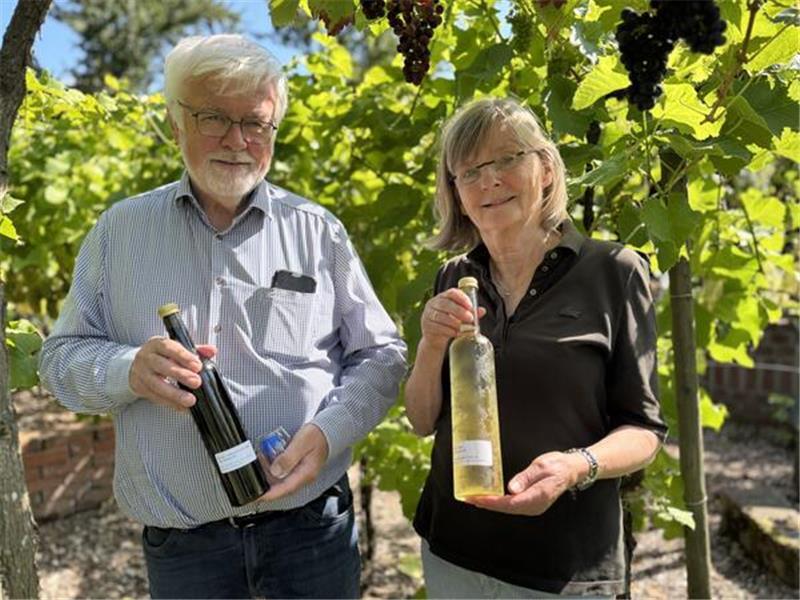 Weinreben mitten in der Stadt: Stader Hobbywinzer stellen edle Tropfen her Margret und Ernst-August Heinemeyer bauen in ihrem Stader Garten Rot- und Weißwein an.