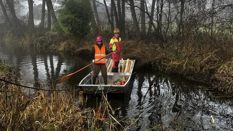 Alles für den Eisvogel: Mit der Kettensäge im Einsatz am Stader Bach Maria Huber vom BUND bringt Baumpfleger Sebastian Zinke im Boot zu einem der Bäume, die gefällt werden sollen.