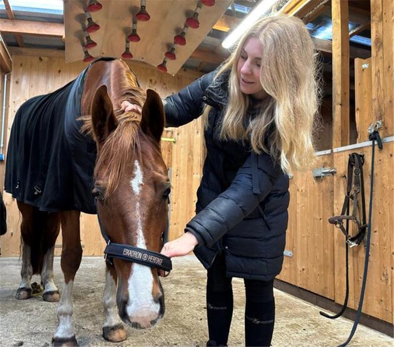 Physiotherapeutin für Pferde: Wie Marlien Milsmann Vierbeinern hilft Marlien Milsmann massiert ihrem Wallach den Nacken. Ihm gefällt’s.