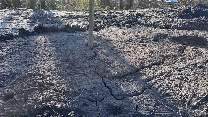 Massen an Sand schaufelt der Bagger aus dem Teich.
