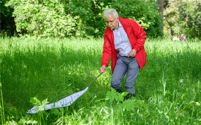 Masyar Monazahian, Zeckenexperte am NLGA, sammelt auf einer Wiese mit einer weißen Flagge Zecken. Foto: Stratenschulte/dpa