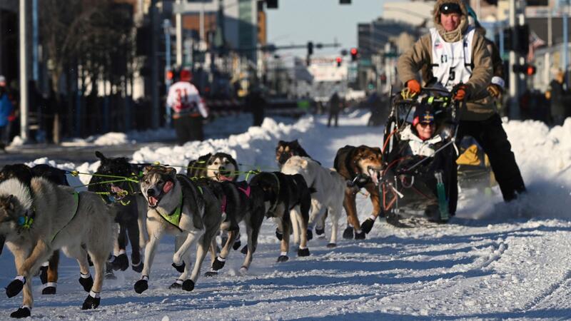 Mats Pettersson aus Schweden beim Iditarod -Schlittenhunderennen in Anchorage, Alaska.