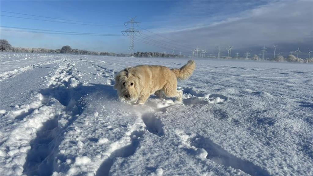 Matthias Rudolph auf einem Ausflug mit Hund Benny ins Weiße.