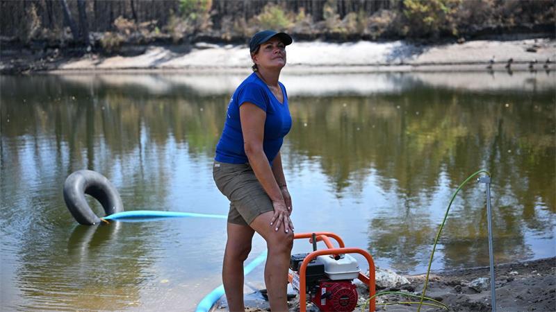 „Ist unser Erbe“: Wie ein Waldbauer gegen den Brand kämpft Maud hilft Freiwilligen, ihre Wassertanks zu befüllen.