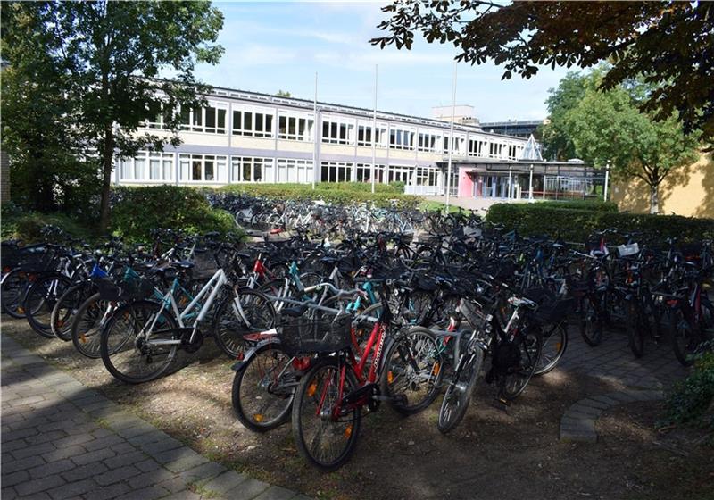 Max Otte kommt in die Aula der Halepaghen-Schule. Foto: Wisser