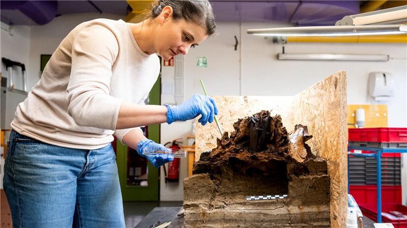 Mayer geht bei ihrer Arbeit sehr vorsichtig vor.