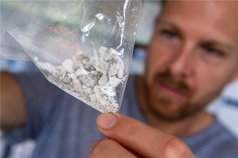 Meeresbiologe Holger Kühnhold schaut sich im Leibniz-Zentrum für Marine Tropenforschung (ZMT) eine gefriergetrocknete Mangrovenqualle an. Fotos: Schuldt