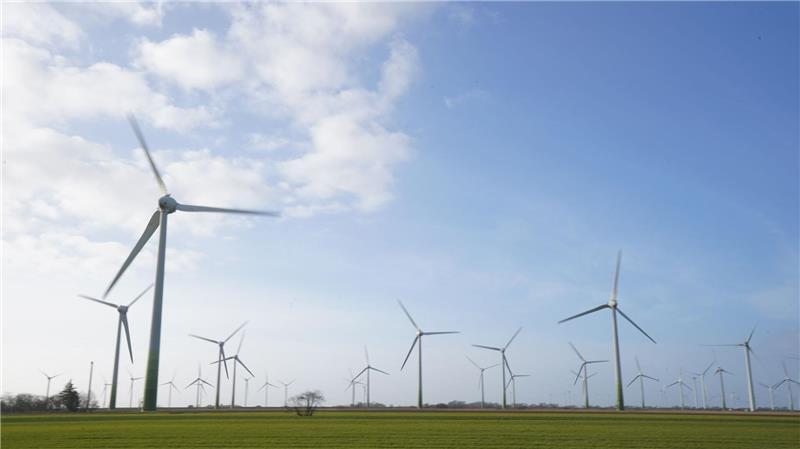 Schleswig-Holstein drückt bei Windenergie weiter aufs Tempo Mehr Flächen für die Windenergie in Schleswig-Holstein. (Archivbild)