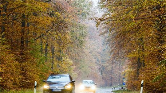 Mehr Sicherheit beim Fahren: Wird es auf den Straßen kalt und feucht, kommt es auf die richtigen Autoreifen an.
