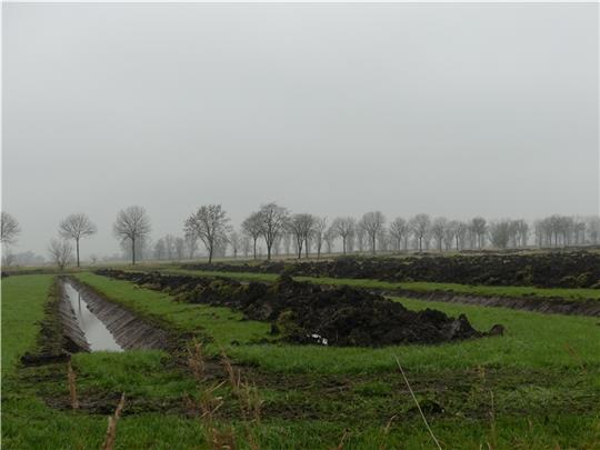 Mehr als 20 Gräben und Wälle auf einer großen Fläche an der Seglerstraße auf Krautsand sorgen seit Wochen für Spekulationen. Foto: Knappe